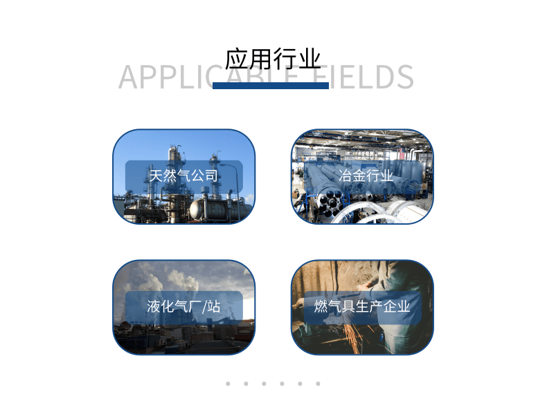 气体热值分析仪 (3).png
