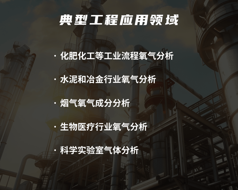 热磁式氧气分析仪 (5).png